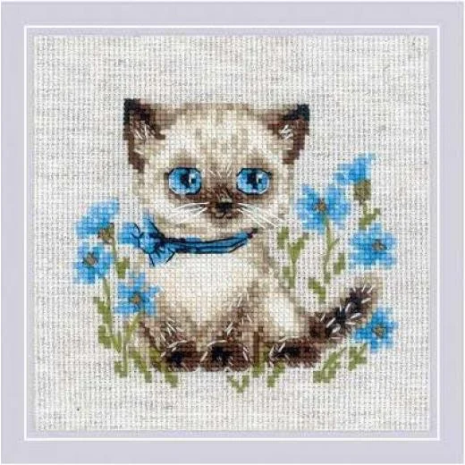 Riolis - Siamese Kitten