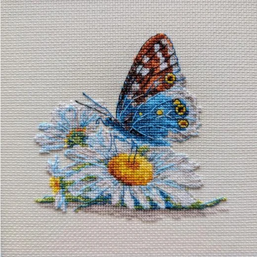 Riolis - Fragile Beauty