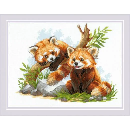 Riolis - Red Panda Cubs