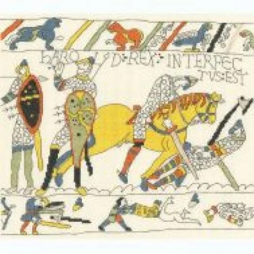 Bothy Threads - Bayeux - The Demise Of King Harold