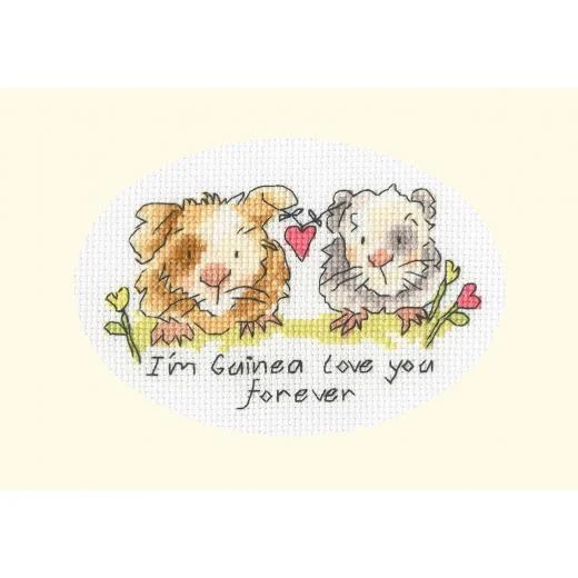 Bothy Threads - I'm Guinea Love You Forever